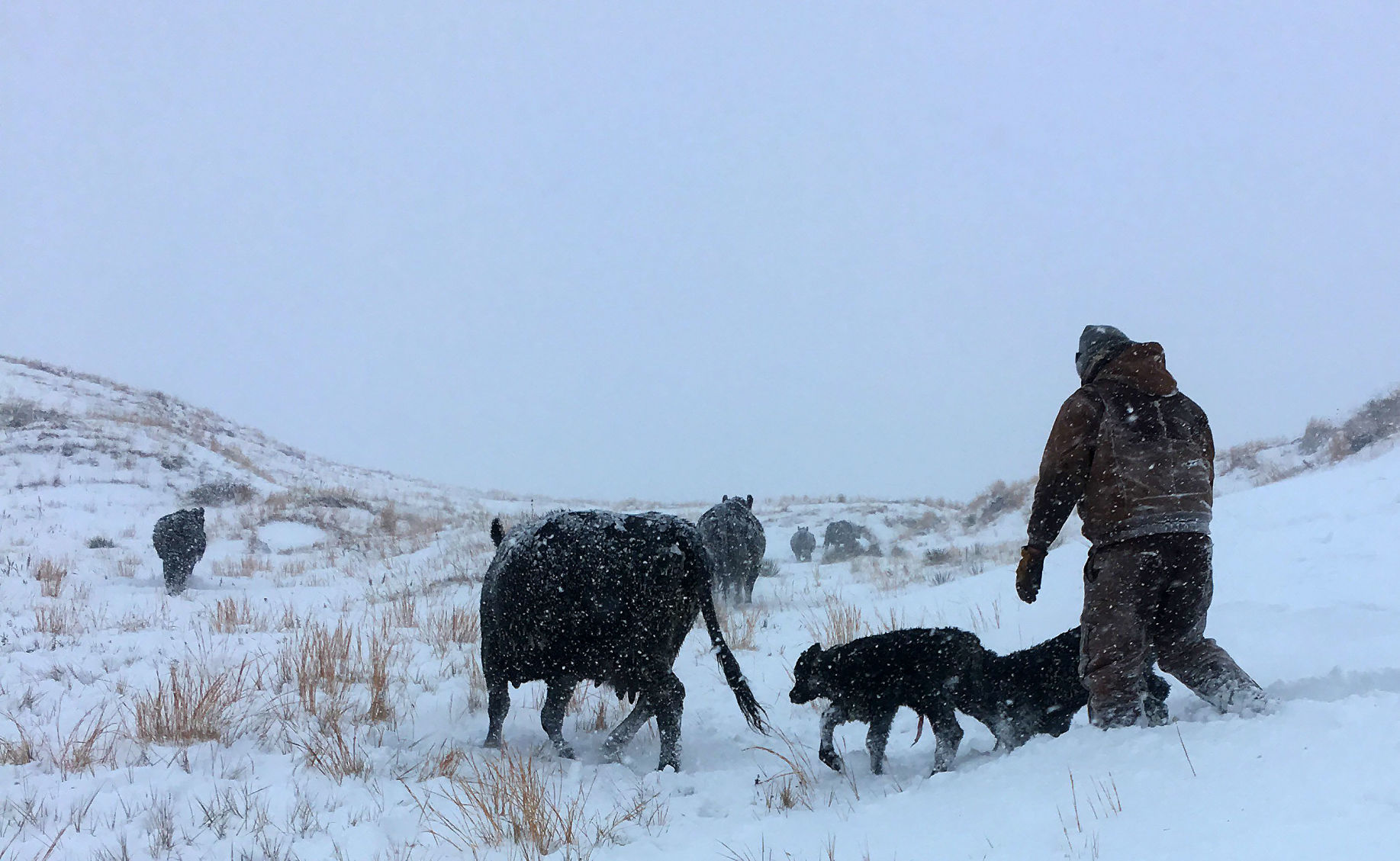 Scherbarth Ranch